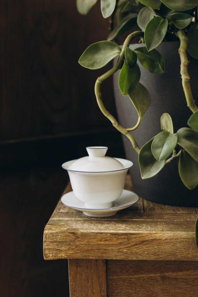 The Cantina gaiwan and saucer on a wooden shelf beside a trailing plant.