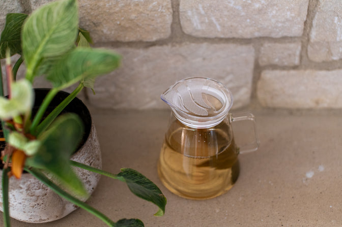 HARIO Clear Teapot in natural light.