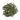 Dragon Well (Long Jing)