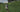 Azuma Tea Farm: Before Matcha Becomes Matcha