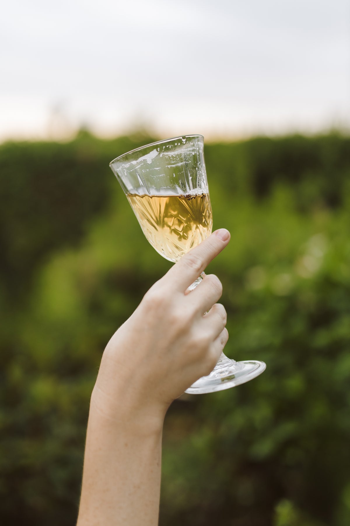 A hand holding a clear stemmed wine glass filled with cold brewed tea, set against a blurred green outdoor background.