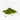 Matcha Amazora | Ceremonial Grade