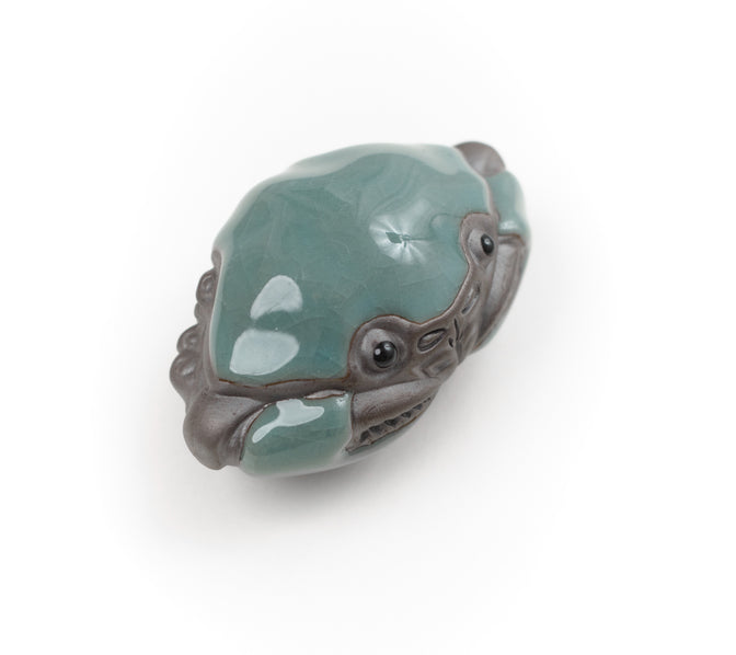 Top view of the pale green Mr. Crab tea pet.