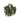 Tie Guan Yin